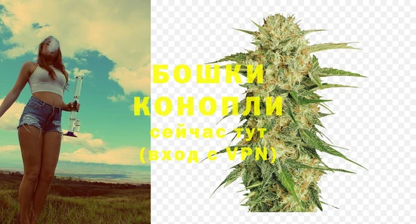 PSILOCYBIN Белокуриха