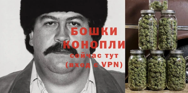 PSILOCYBIN Белокуриха