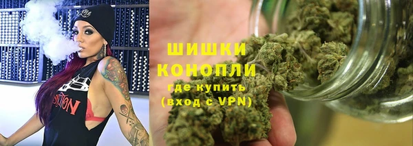PSILOCYBIN Белокуриха