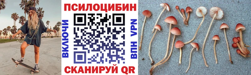 omg как войти  Верхотурье  Псилоцибиновые грибы MAGIC MUSHROOMS 